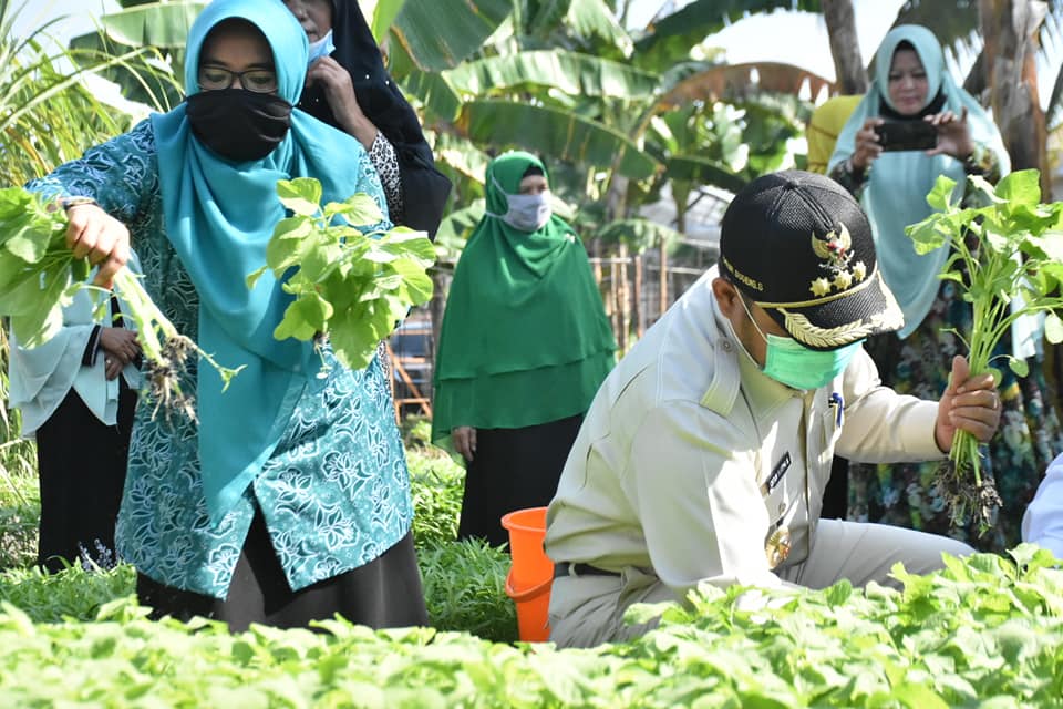 1593587081-RiauBertuah co-kampar 1